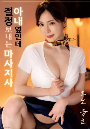 雾中山 影片海报